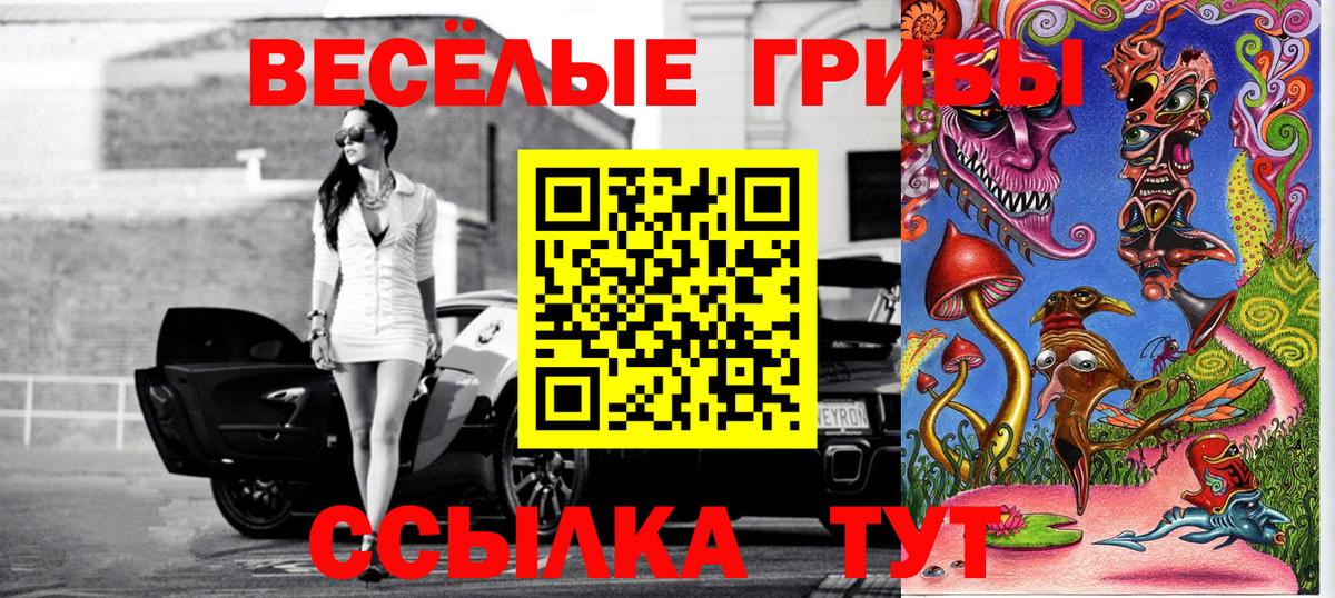 Псилоцибиновые грибы мухоморы Коммунар