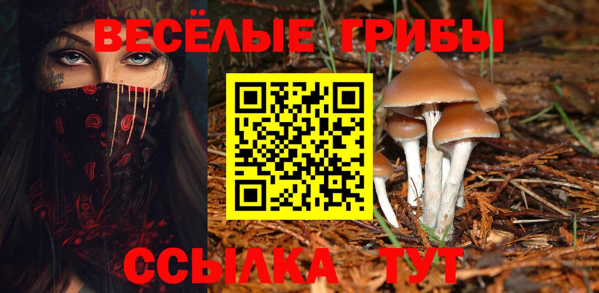 Коммунар  Галлюциногенные грибы ЛСД  Вход с VPN  Галлюциногенные грибы прущие грибы 
